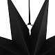 photo-2964417