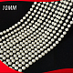 photo-2949982