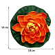photo-2967227