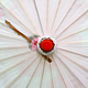 photo-2958861