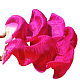photo-2968538