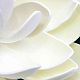 photo-2966828