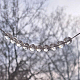 photo-2952026