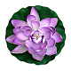 photo-2966809