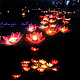 photo-2928151