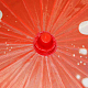 photo-2958729