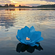 photo-2965555