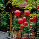 photo-2950967