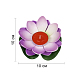 photo-2930577