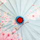 photo-2958839