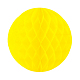 photo-2966443