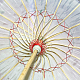 photo-2958772