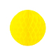 photo-2966087