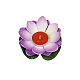 photo-2930576