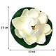 photo-2967569