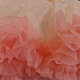 photo-2969436