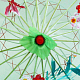 photo-2960027