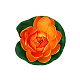 photo-2967624