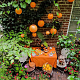 photo-2933185