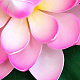 photo-2966820