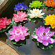 photo-2967244