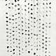 photo-2970095